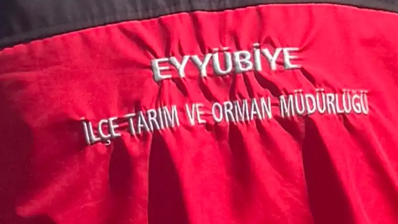 Şanlıurfa’da tarihi geçmiş ve bozuk ürün bulunduran işletmelere ceza!