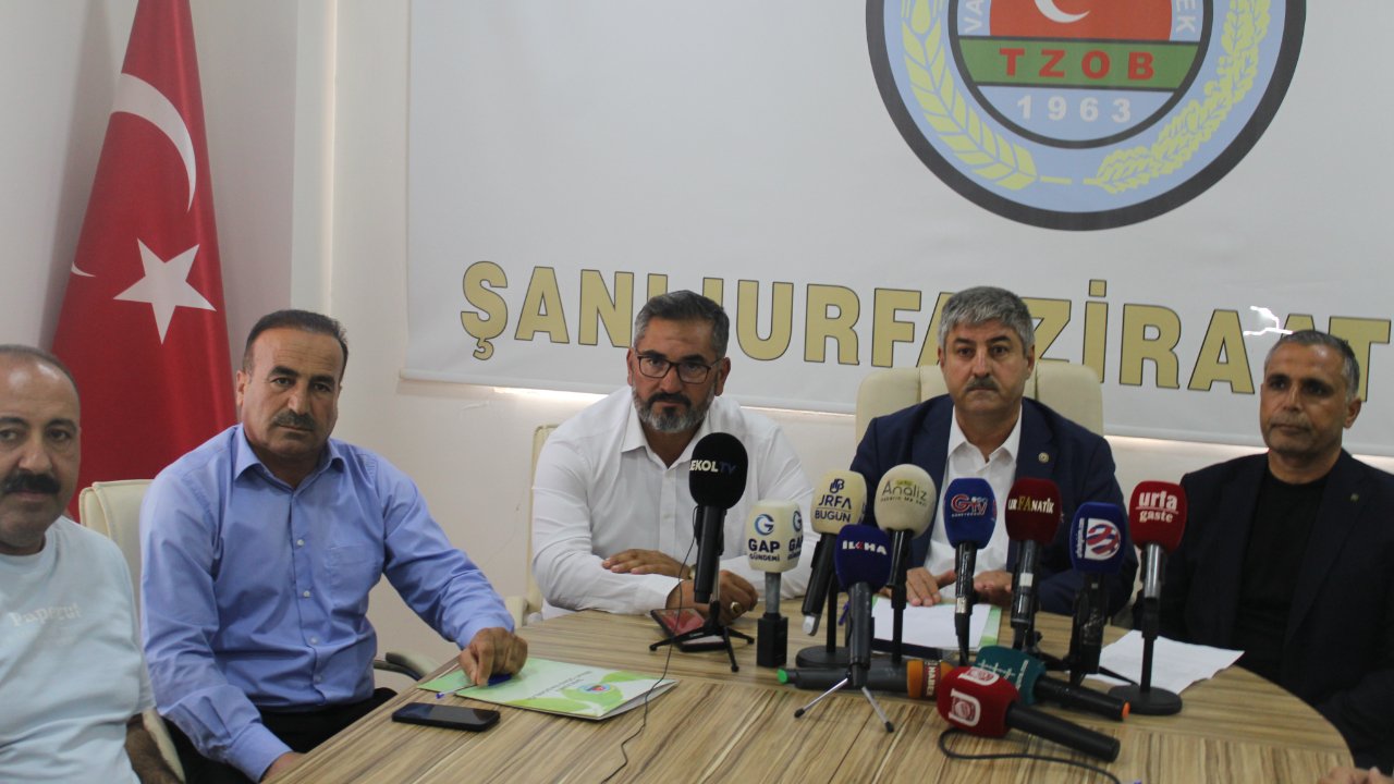 Şanlıurfa’da fıstıkta kriz büyüyor: Üreticiye ithalat darbesi