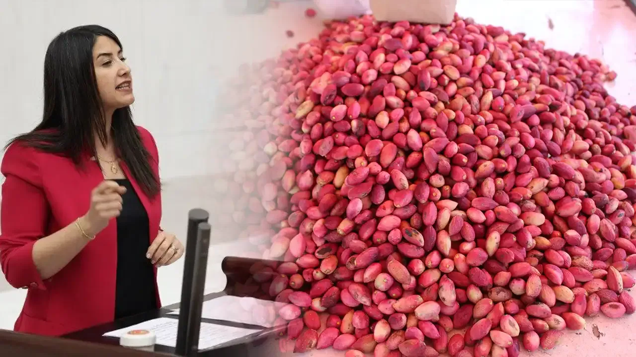 Fıstık krizi büyüyor: Şanlıurfa Milletvekili Bakan Bolat’a sordu