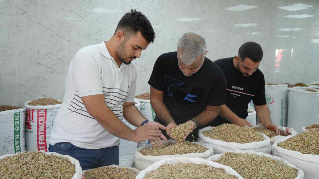İthalat izni fıstık fiyatlarını ve satışını durdurdu! Baklavacılar memnun kaldı