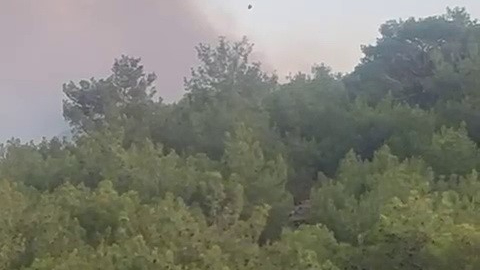 Adıyaman’da orman yangını kontrol altına alındı