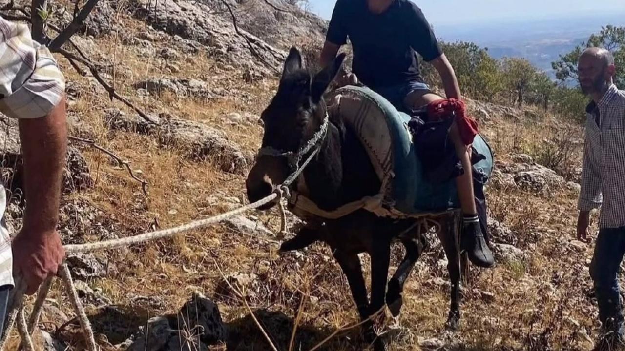 Adıyaman'da ayı saldırısı: Hayvanlarını otlatan genç yaralandı