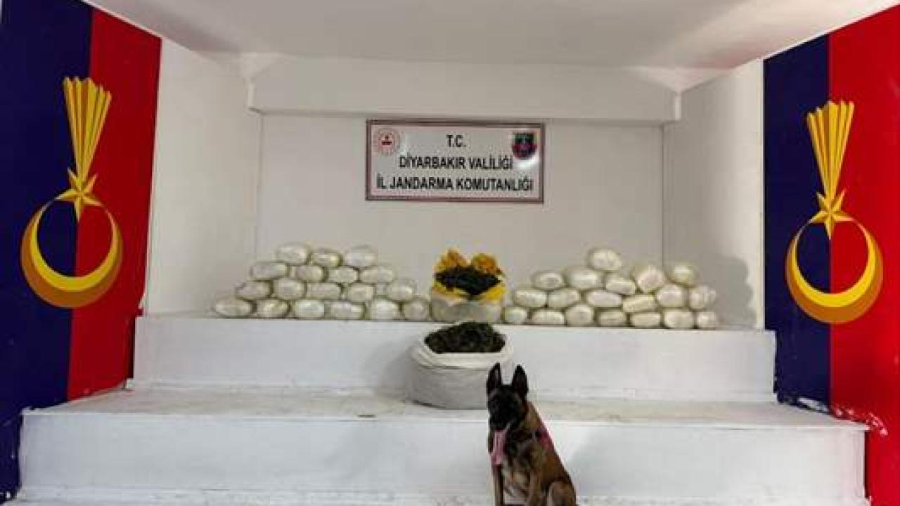 Diyarbakır'da kaçakçılık operasyonlarında 29 şüpheliye işlem yapıldı