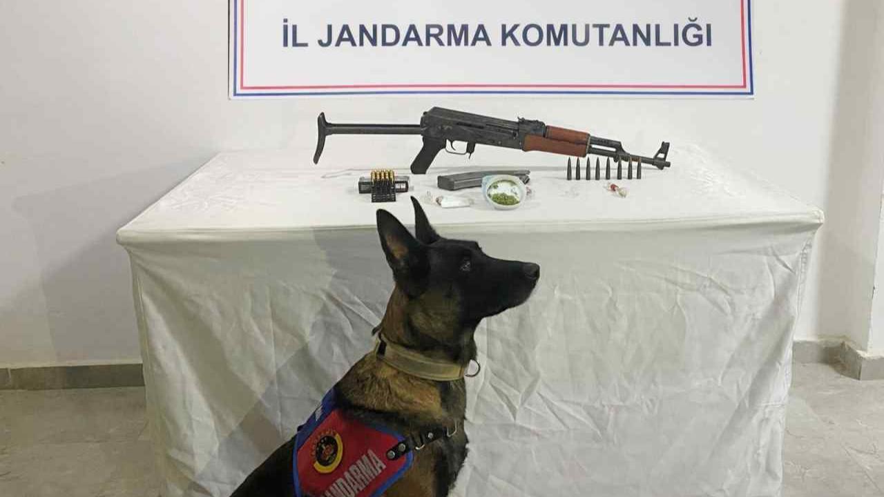 Halfeti, Siverek, Birecik ve Akçakale’de eş zamanlı operasyon: Uyuşturucu ve silahlar yakalandı