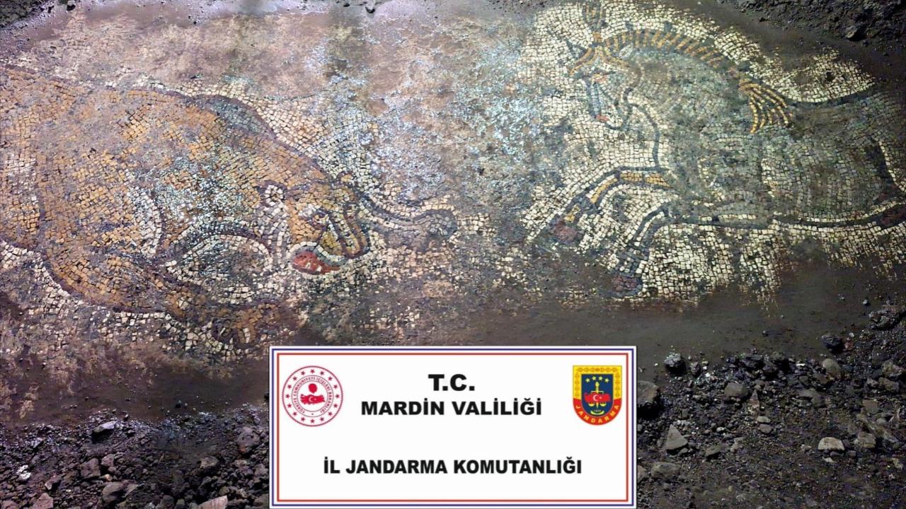 Mardin’de “Anadolu Mirası” Operasyonu: 1500 Yıllık Roma Dönemi Mozaiği ele geçirildi