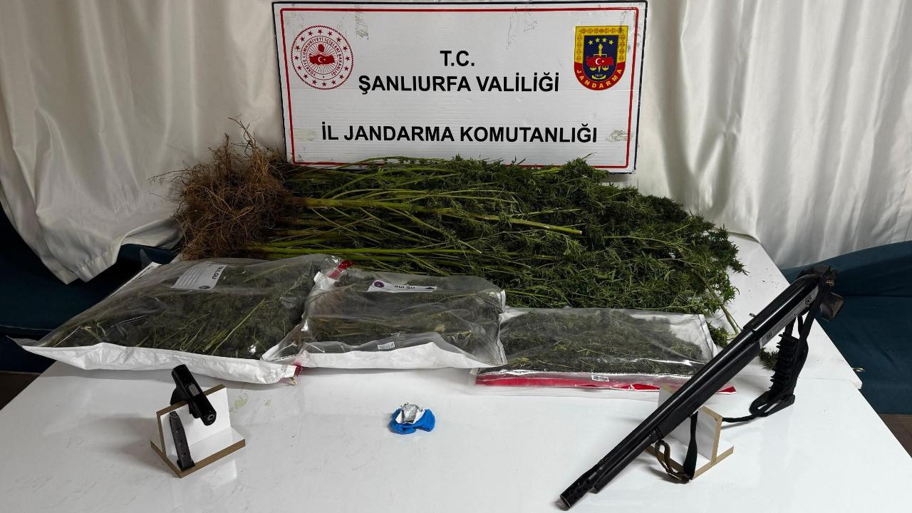 Şanlıurfa Siverek’te uyuşturucu operasyonu: 1 Şüpheli gözaltına alındı