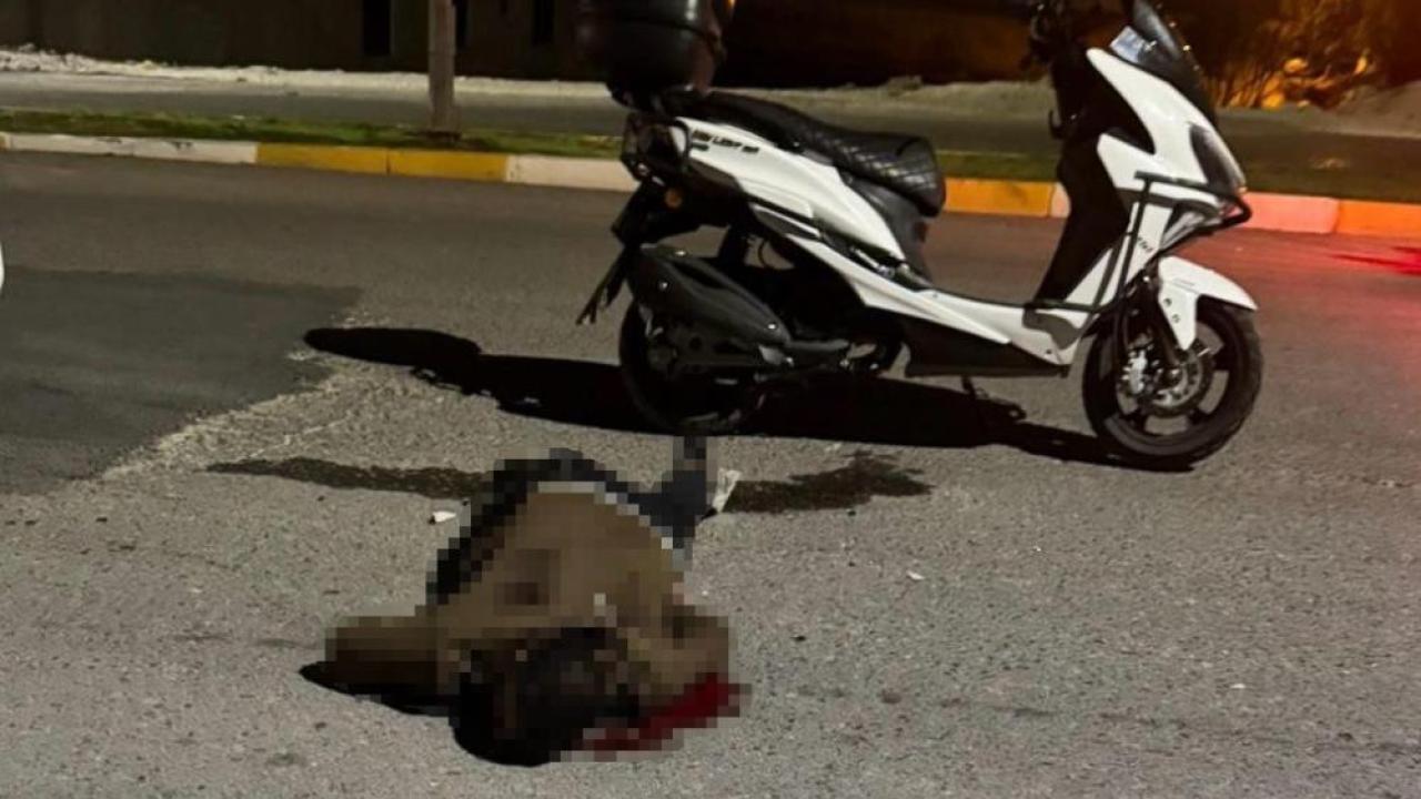 Şanlıurfa’da bıçaklı saldırı: Genç adam hayatını kaybetti
