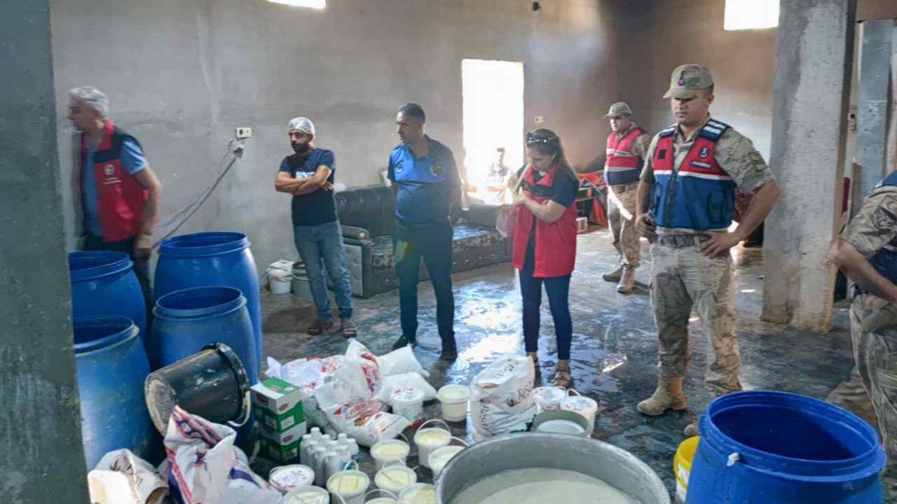 Şanlıurfa’da sağlıksız ortamda süt üretimine ceza!