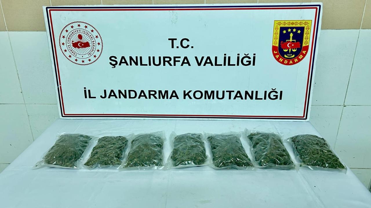 Siverek’te jandarmadan uyuşturucu operasyonu: 2 kilo esrar ele geçirildi