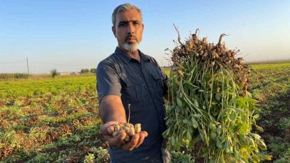 Suruç ve Harran'da gelir kapısı çeşitleri arttı