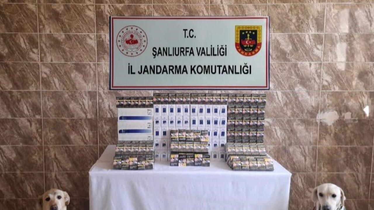 Viranşehir’de jandarmadan kaçak sigara ve tütün operasyonu