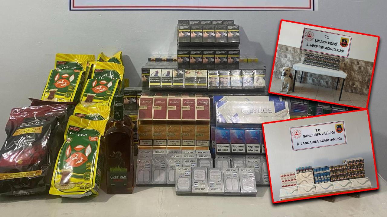 Viranşehir’de kaçakçılara darbe: Çok sayıda kaçak ürün ele geçirildi