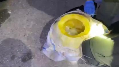 Osmaniye'de bal kabağından uyuşturucu çıktı