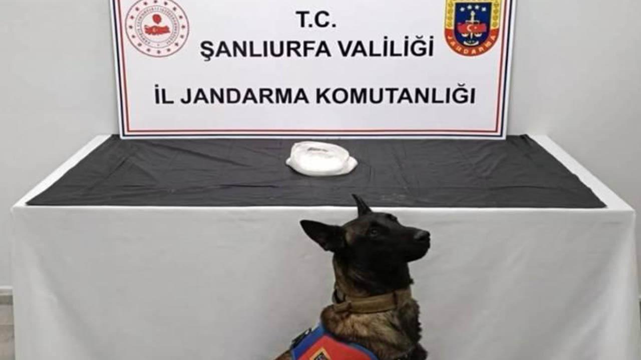 Otomatik Taslak