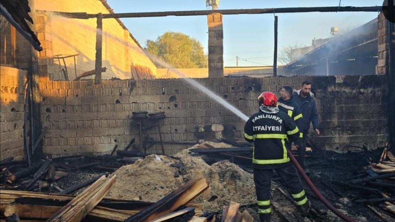 Şanlıurfa’da iş yeri yangını: Güvercinler son anda kurtarıldı