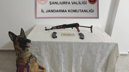 Şanlıurfa'da yasa dışı silah operasyonu: Piyade tüfeği ele geçirildi