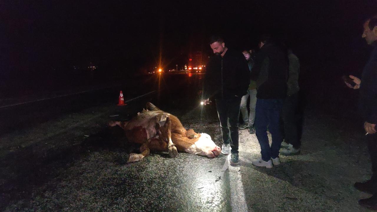 Van'da minibüs ve otomobil ineğe çarptı: 2 yaralı, inek telef oldu