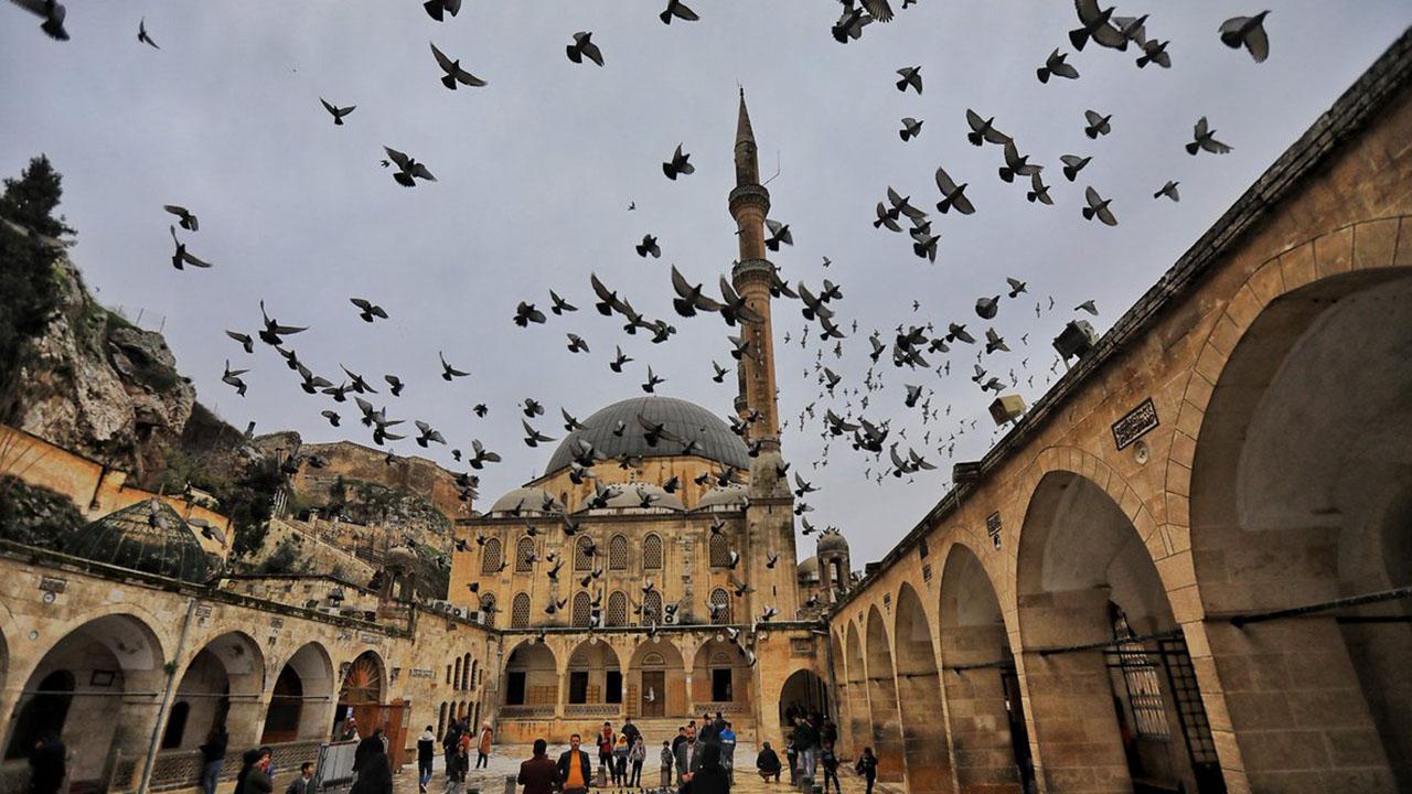 Otomatik Taslak