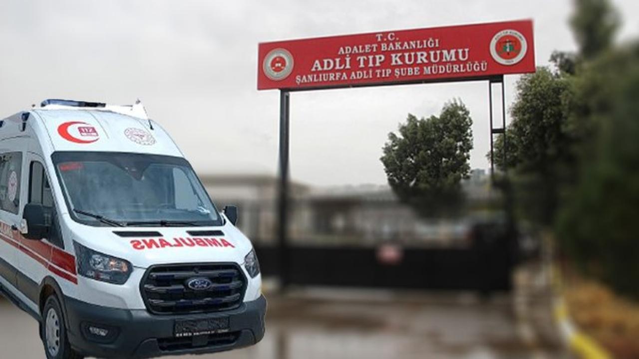 Otomatik Taslak