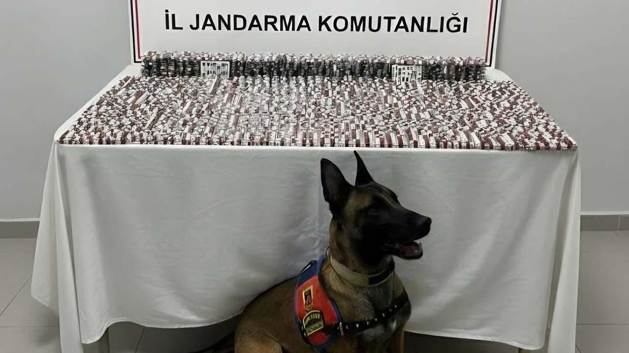 Şanlıurfa’da uyuşturucu tüccarlara sert darbe! Vali Şıldak detayları paylaştı