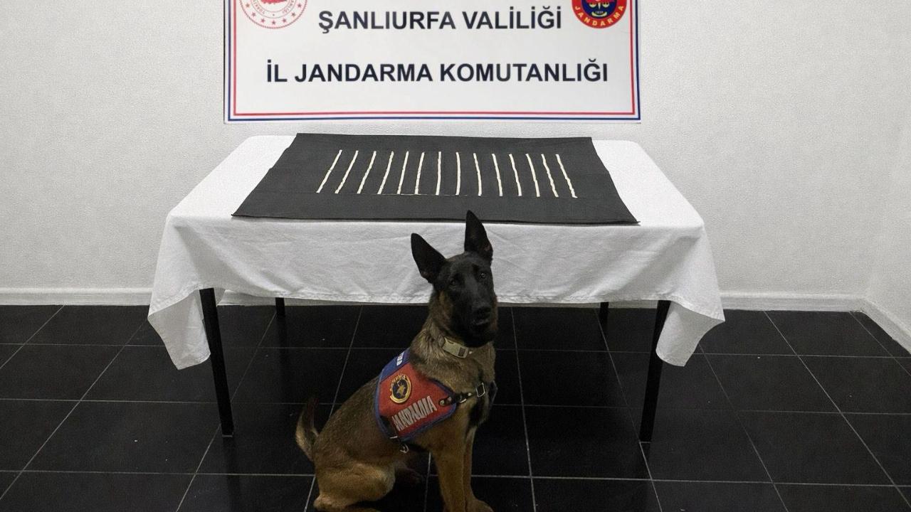 Harran’da uyuşturucu operasyonu! 2 şüpheli yakalandı