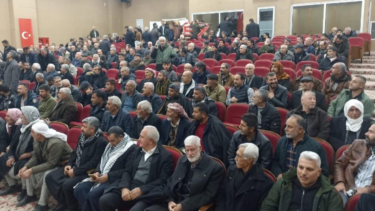 Keklik kültürü dünya sahnesine taşınıyor