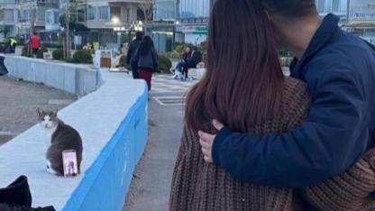 Sahildeki sakin kedi,çiftin en iyi fotoğraf asistanı oldu