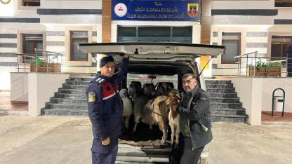 Sahte para ile besiciyi dolandıran şahıslar yakalandı