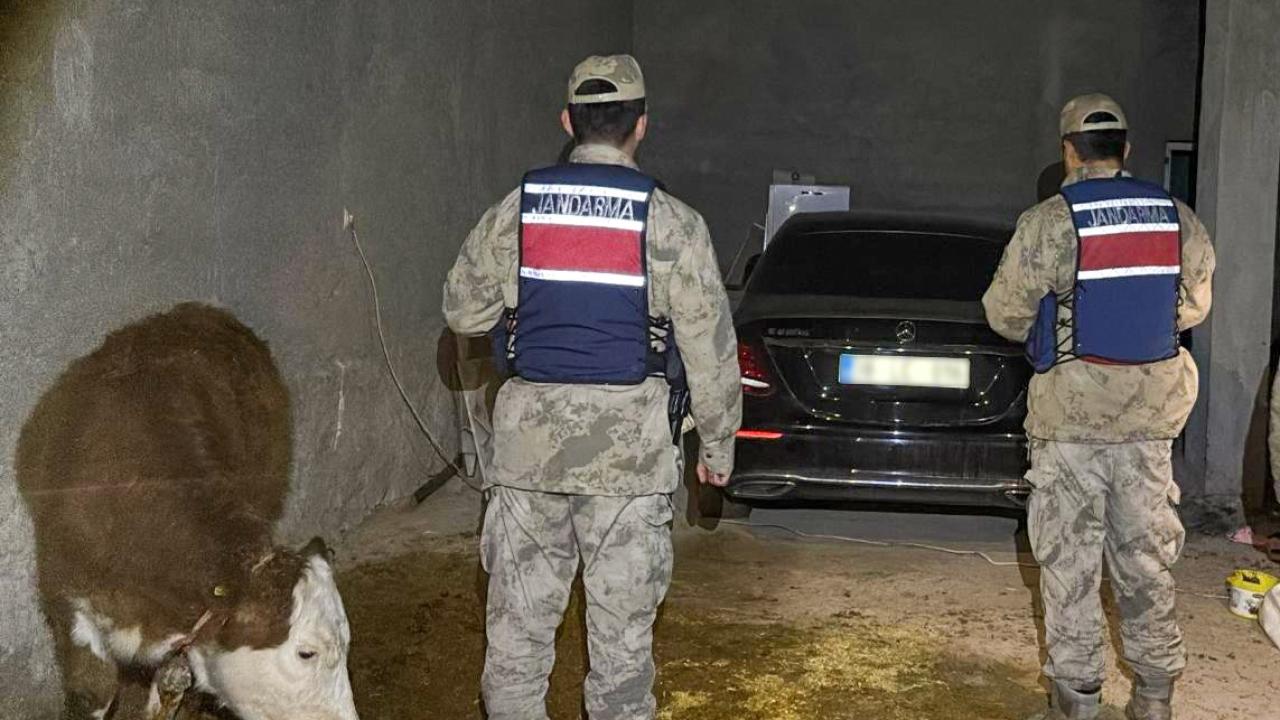 Şanlıurfa’da ahırda saklanan çalıntı araç ele geçirildi