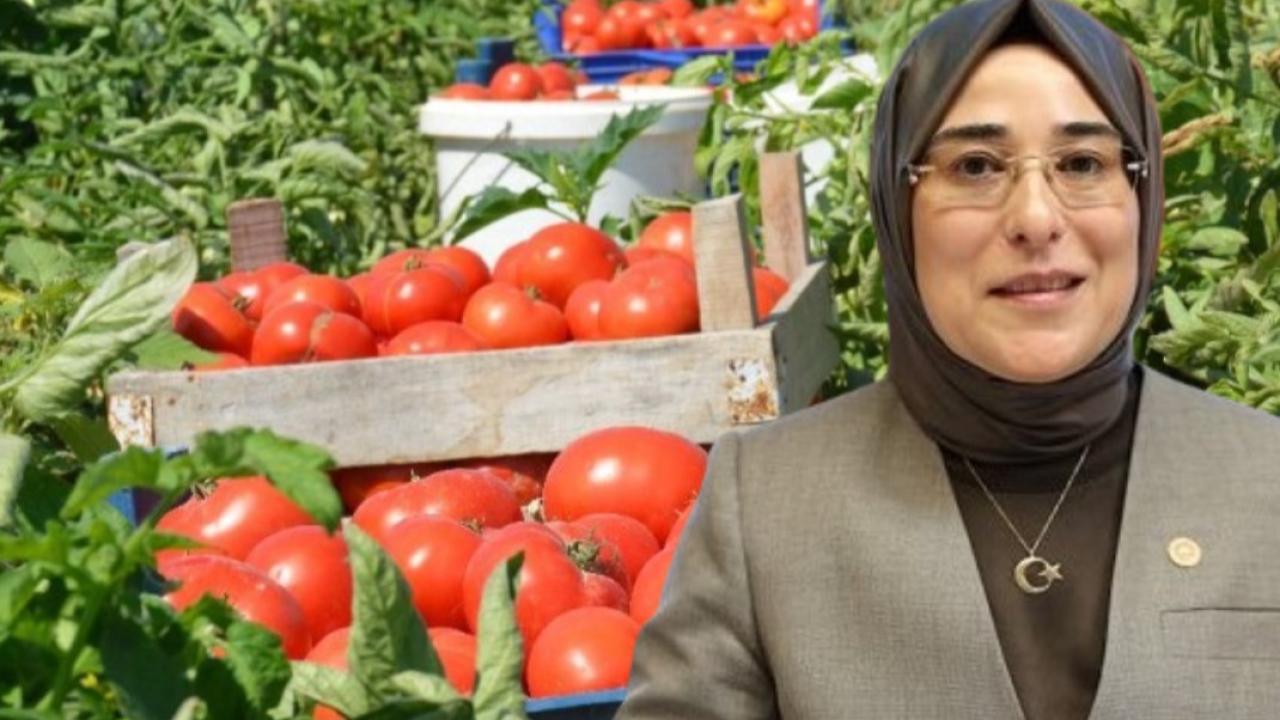 Şanlıurfa’da kadın çiftçiden Yazmacı’ya sert eleştiriler
