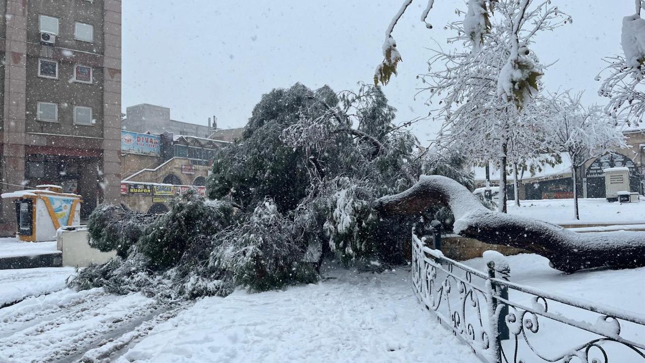 Şanlıurfa’da kar yağışı hayatı olumsuz etkiledi, ağaçlar tek tek kırıldı