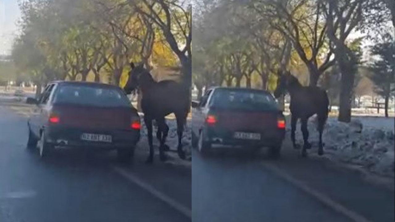 Şanlıurfa’da vicdanları sızlatan görüntü: Atı otomobille koşturdular