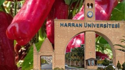 Şanlıurfa’nın Biberine bilimsel dokunuş
