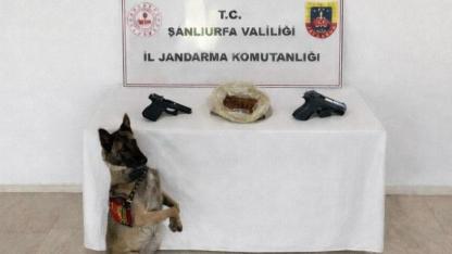 Eyyübiye’de uyuşturucu ve ruhsatsız silah ele geçirildi