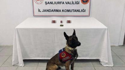 Şanlıurfa’da 4 ilçede uyuşturucu ve silah ele geçirildi