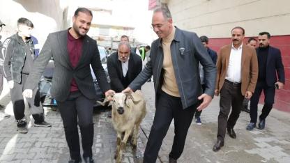 Şanlıurfa’da ilk gün 400 aileye kurbanlık koç verildi