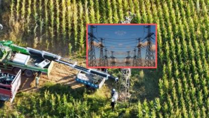 Şanlıurfa’da mısır ekimi kaçak elektriği patlattı