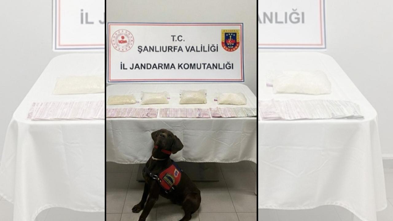 Şanlıurfa’da zehir tacirlerine büyük darbe