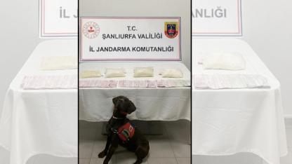 Şanlıurfa’da zehir tacirlerine büyük darbe