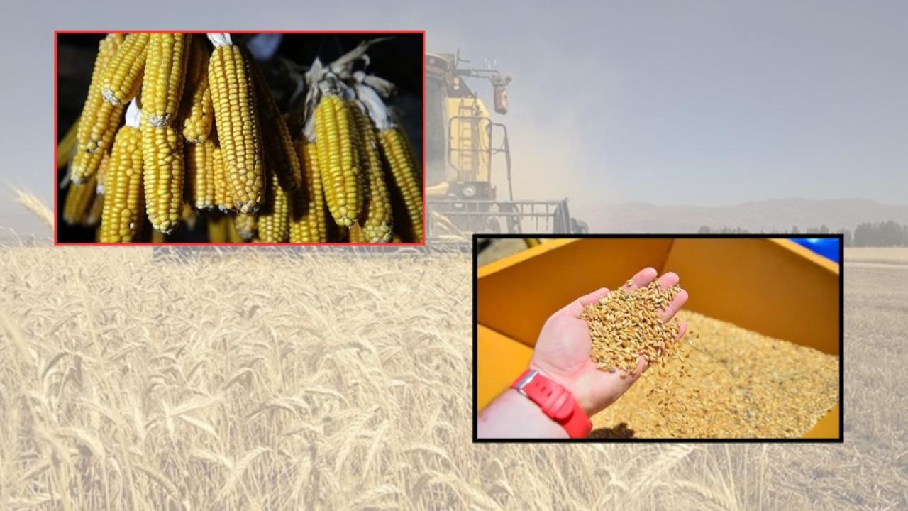 Tarım piyasasında kritik hafta: Rakamlar ne anlatıyor?