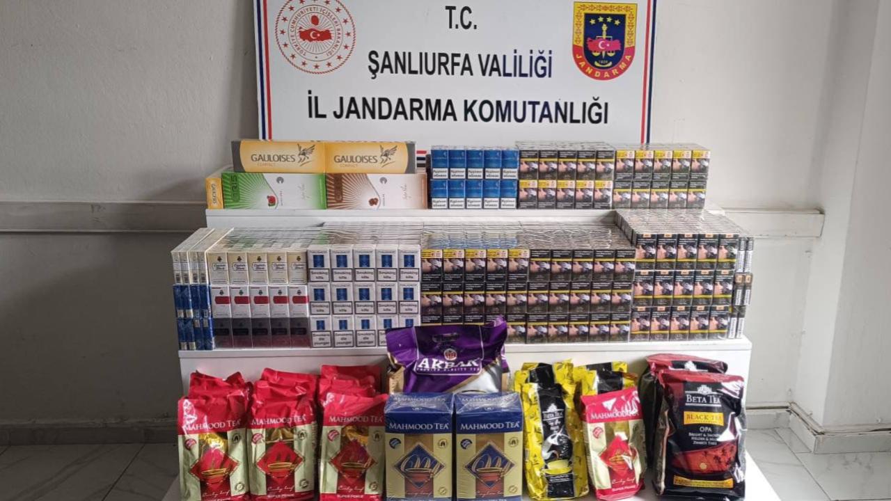 Viranşehir ve Ceylanpınar’da kaçakçılara darbe! 62 gözaltı