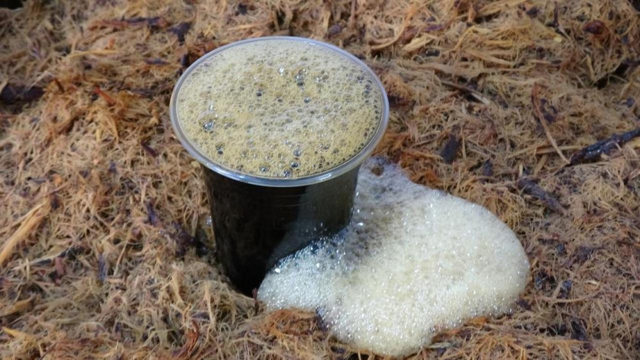Otomatik Taslak