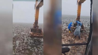 Çamura saplandı! Şanlıurfa’da dikkat çeken olay