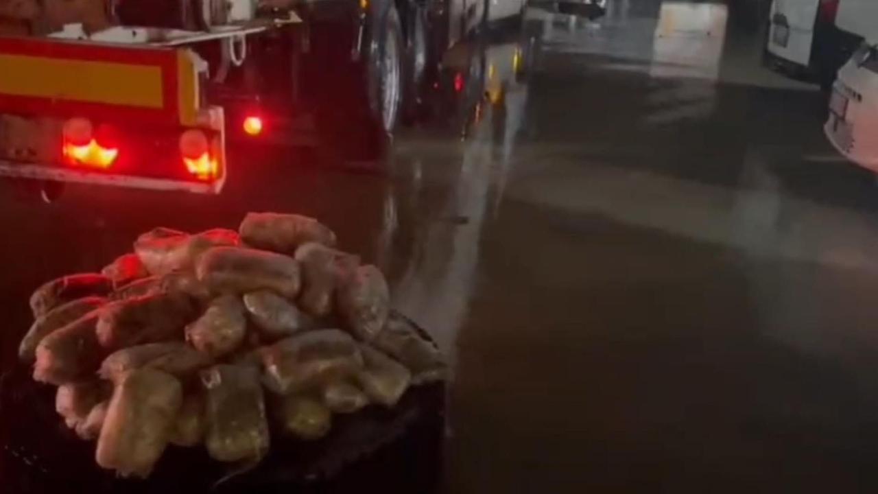 Şanlıurfa'da 17 kilo 550 gram skunk ele geçirildi