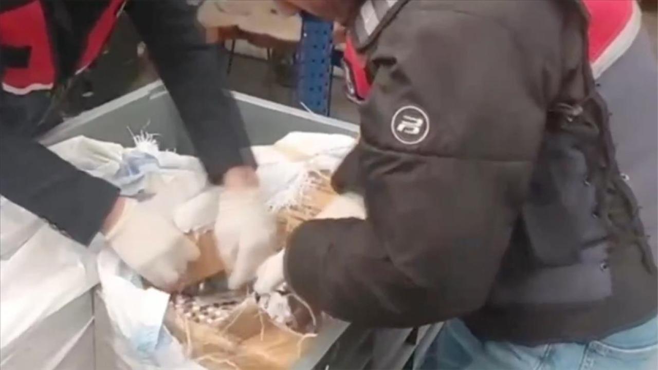 Türkiye genelinde dev narkotik operasyonu: 255 gözaltı