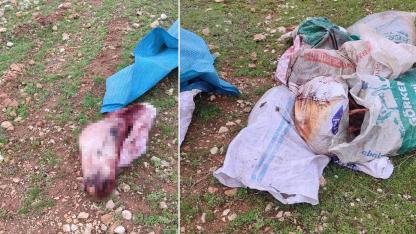 Urfa’da büyük skandal! Sofralarımıza mı gelecekti?