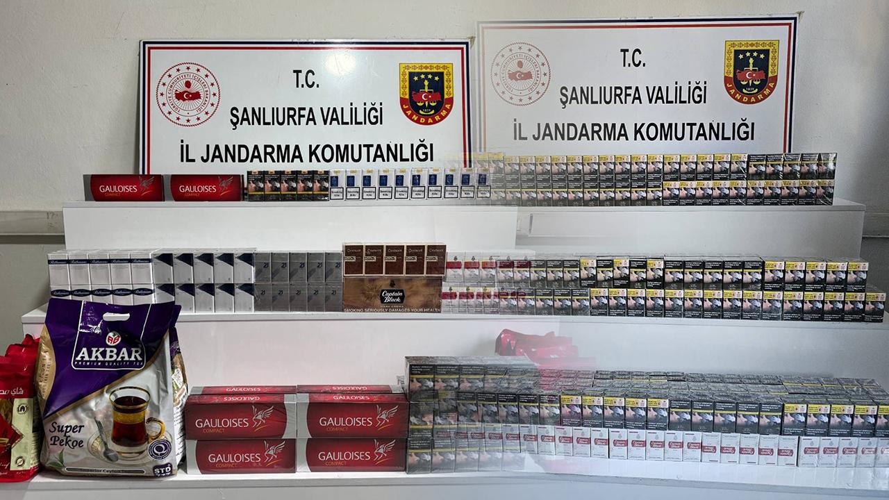 Otomatik Taslak