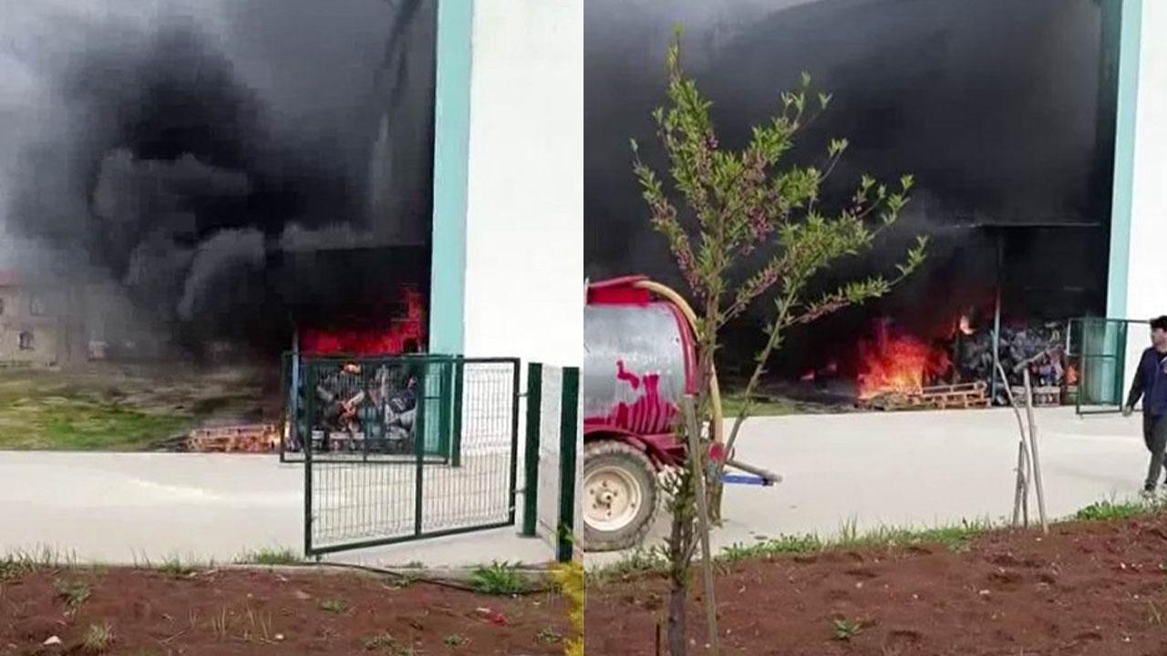 Otomatik Taslak