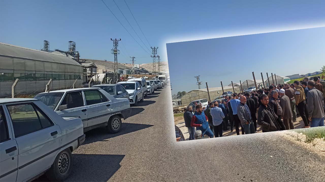 Şanlıurfa’da ücretsiz biber patlıcan uzun kuyruk oluşturdu