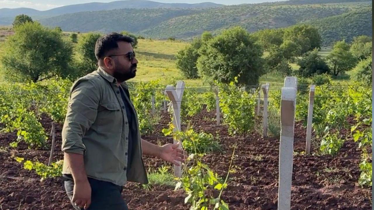 Urfa’da bağlarda uyuz yayılıyor!